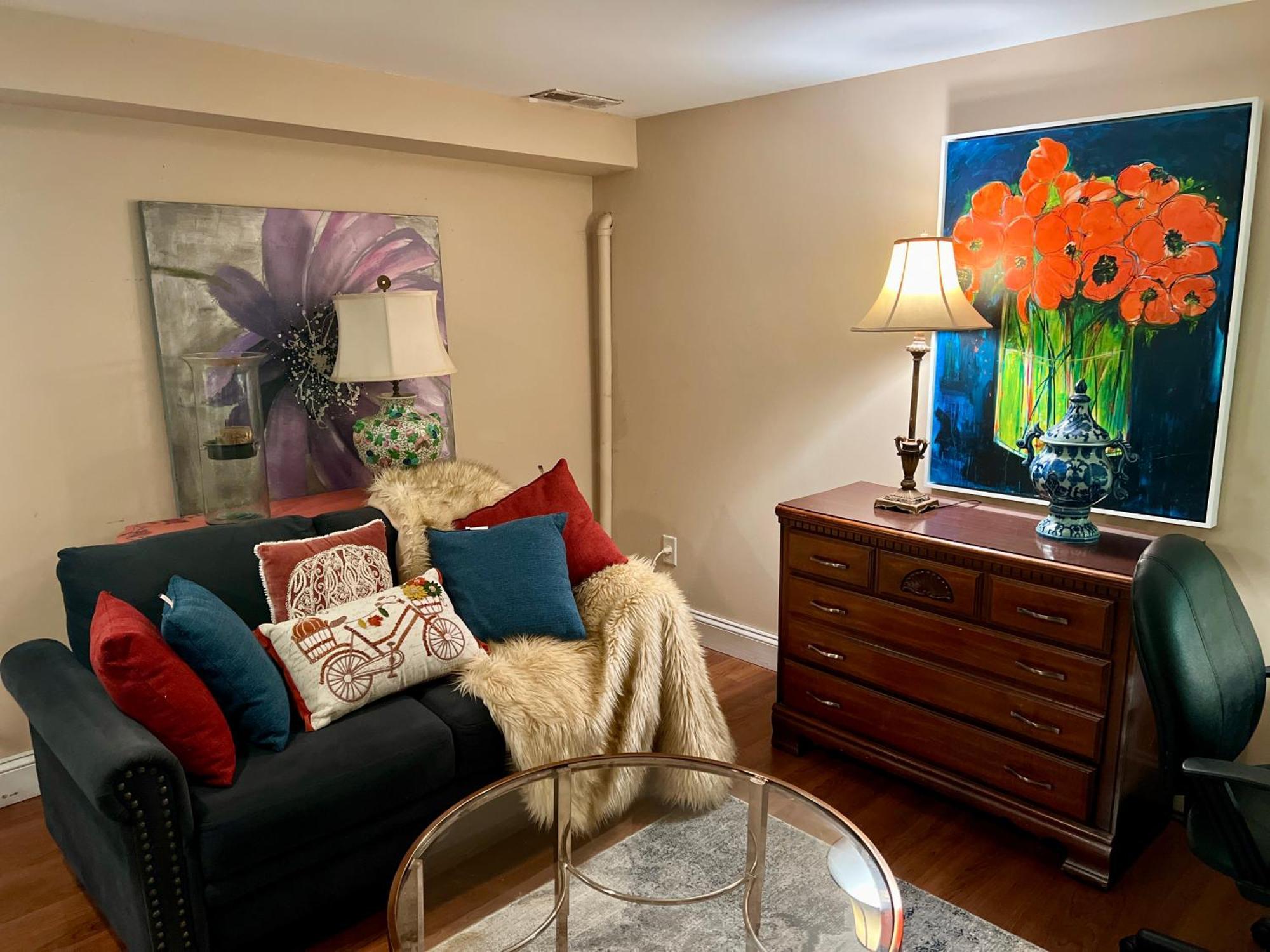 Charming 1-bedroom Basement Close To Dc Pets Allowed Arlington